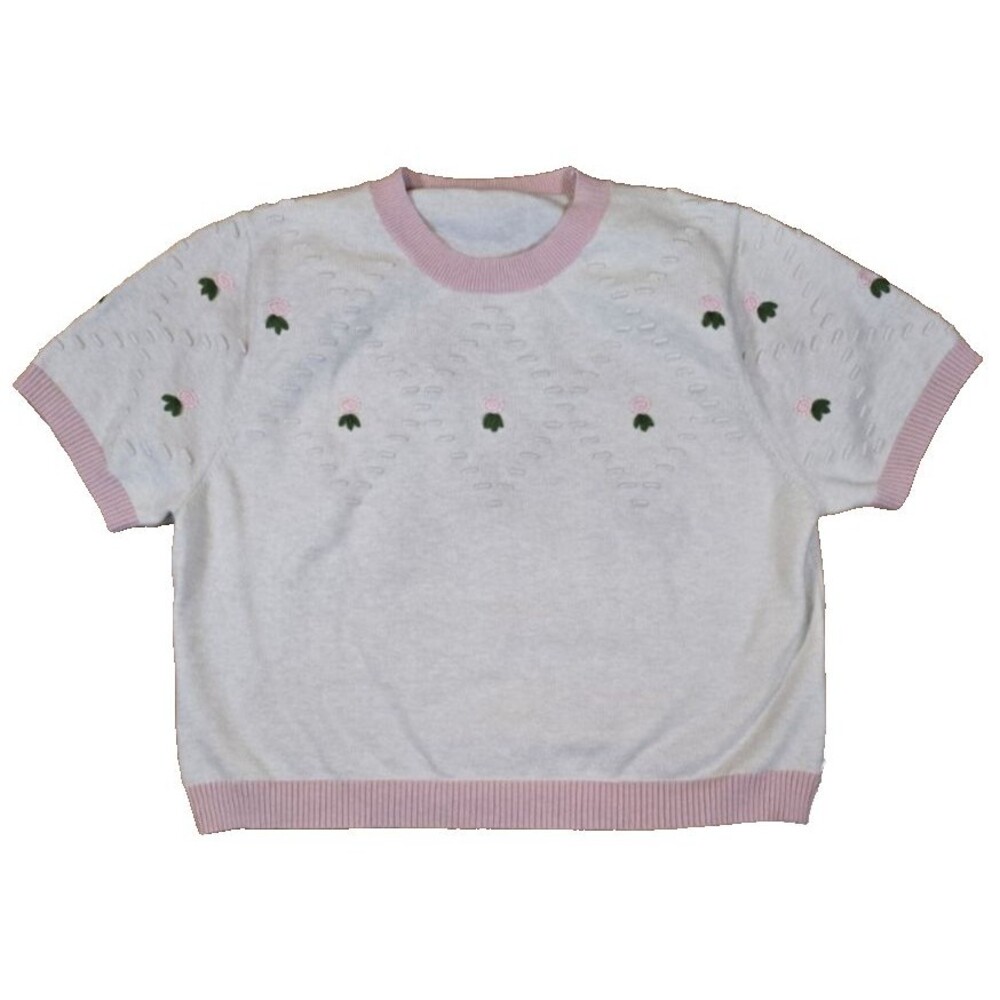 Cider 3XL Women's Short Sleeve Floral Embroidered Sweater Granny Feminine Soft